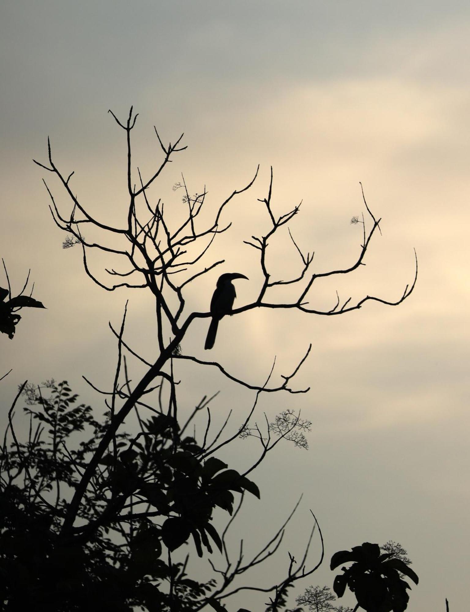 Three Little Birds Hotel Tangalle Buitenkant foto