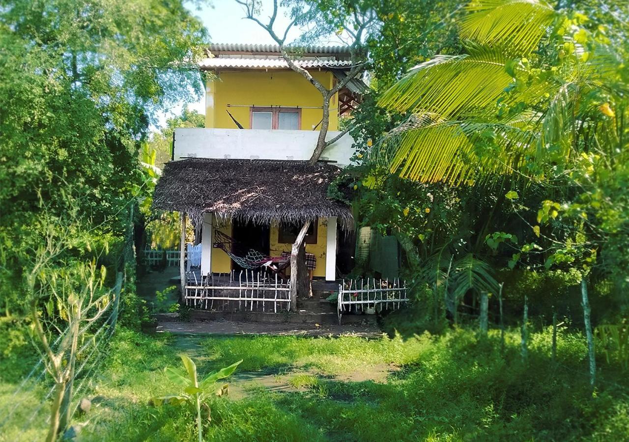 Three Little Birds Hotel Tangalle Buitenkant foto